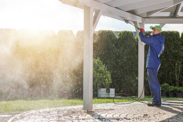 Best Patio and Deck Pressure Washing  in Mays Chapel, MD